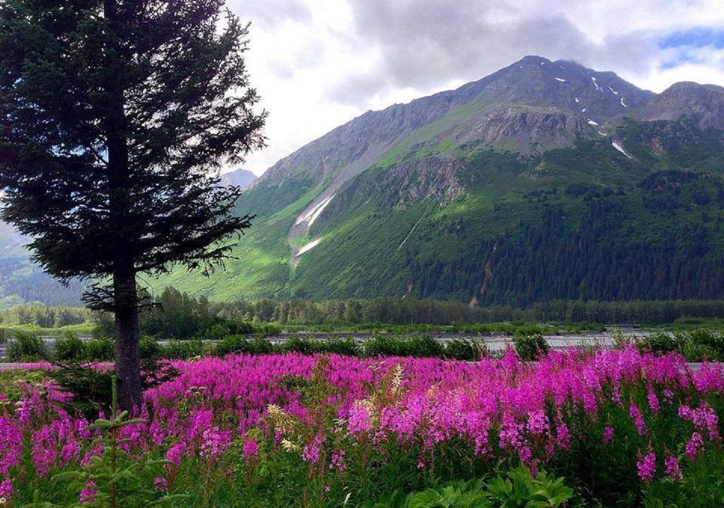 Arctic Paradise B&B Сьюард Экстерьер фото