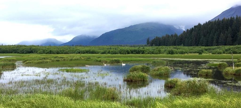 Arctic Paradise B&B Сьюард Экстерьер фото